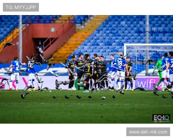 意甲球场安全标准提升,反暴力措施加强 意甲球场安全标准提升,反暴力措施加强